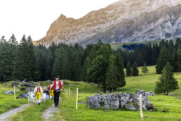 Alpabfahrt, Alpen, Alpfahrt, Appenzell, Appenzell Ausserrohden, Appenzeller Hinterland, Autumn, Brauchtum, Fall, Herbst, Hundwil, Hügel, Kühe, Landwirtschaft, Ostschweiz, Schweiz, Schwägalp, Sennen, Suisse, Switzerland, Tracht, Urnäsch, Wirtschaft, Öberefahre