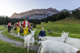 Alpabfahrt, Alpen, Alpfahrt, Appenzell, Appenzell Ausserrohden, Appenzeller Hinterland, Autumn, Brauchtum, Fall, Herbst, Hundwil, Hügel, Kühe, Landwirtschaft, Ostschweiz, Schweiz, Schwägalp, Sennen, Suisse, Switzerland, Tracht, Urnäsch, Wirtschaft, Öberefahre