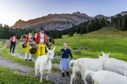 Alpabfahrt, Alpen, Alpfahrt, Appenzell, Appenzell Ausserrohden, Appenzeller Hinterland, Autumn, Brauchtum, Fall, Herbst, Hundwil, Hügel, Kühe, Landwirtschaft, Ostschweiz, Schweiz, Schwägalp, Sennen, Suisse, Switzerland, Tracht, Urnäsch, Wirtschaft, Öberefahre