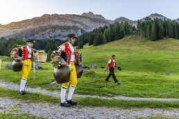 Alpabfahrt, Alpen, Alpfahrt, Appenzell, Appenzell Ausserrohden, Appenzeller Hinterland, Autumn, Brauchtum, Fall, Herbst, Hundwil, Hügel, Kühe, Landwirtschaft, Ostschweiz, Schweiz, Schwägalp, Sennen, Suisse, Switzerland, Tracht, Urnäsch, Wirtschaft, Öberefahre