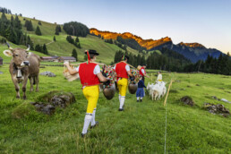 Alpabfahrt, Alpen, Alpfahrt, Appenzell, Appenzell Ausserrohden, Appenzeller Hinterland, Autumn, Brauchtum, Fall, Herbst, Hundwil, Hügel, Kühe, Landwirtschaft, Ostschweiz, Schweiz, Schwägalp, Sennen, Suisse, Switzerland, Tracht, Urnäsch, Wirtschaft, Öberefahre