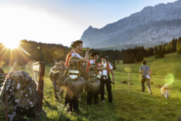 Alpabfahrt, Alpen, Alpfahrt, Appenzell, Appenzell Ausserrohden, Appenzeller Hinterland, Autumn, Brauchtum, Fall, Herbst, Hundwil, Hügel, Kühe, Landwirtschaft, Ostschweiz, Schweiz, Schwägalp, Sennen, Suisse, Switzerland, Tracht, Urnäsch, Wirtschaft, Öberefahre