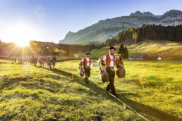 Alpabfahrt, Alpen, Alpfahrt, Appenzell, Appenzell Ausserrohden, Appenzeller Hinterland, Autumn, Brauchtum, Fall, Herbst, Hundwil, Hügel, Kühe, Landwirtschaft, Ostschweiz, Schweiz, Schwägalp, Sennen, Suisse, Switzerland, Tracht, Urnäsch, Wirtschaft, Öberefahre