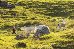 Alpabfahrt, Alpen, Alpfahrt, Appenzell, Appenzell Ausserrohden, Appenzeller Hinterland, Autumn, Brauchtum, Fall, Herbst, Hundwil, Hügel, Kühe, Landwirtschaft, Ostschweiz, Schweiz, Schwägalp, Sennen, Suisse, Switzerland, Tracht, Urnäsch, Wirtschaft, Öberefahre