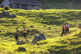 Alpabfahrt, Alpen, Alpfahrt, Appenzell, Appenzell Ausserrohden, Appenzeller Hinterland, Autumn, Brauchtum, Fall, Herbst, Hundwil, Hügel, Kühe, Landwirtschaft, Ostschweiz, Schweiz, Schwägalp, Sennen, Suisse, Switzerland, Tracht, Urnäsch, Wirtschaft, Öberefahre