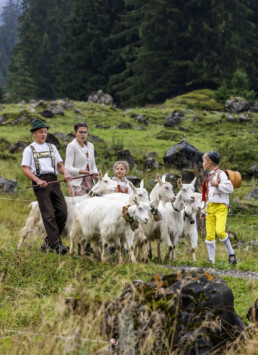 Alpabfahrt, Alpen, Alpfahrt, Appenzell, Appenzell Ausserrohden, Appenzeller Hinterland, Autumn, Brauchtum, Fall, Herbst, Hundwil, Hügel, Kühe, Landwirtschaft, Ostschweiz, Schweiz, Schwägalp, Sennen, Suisse, Switzerland, Tracht, Urnäsch, Wirtschaft, Öberefahre