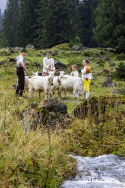 Alpabfahrt, Alpen, Alpfahrt, Appenzell, Appenzell Ausserrohden, Appenzeller Hinterland, Autumn, Brauchtum, Fall, Herbst, Hundwil, Hügel, Kühe, Landwirtschaft, Ostschweiz, Schweiz, Schwägalp, Sennen, Suisse, Switzerland, Tracht, Urnäsch, Wirtschaft, Öberefahre