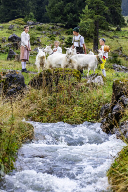 Alpabfahrt, Alpen, Alpfahrt, Appenzell, Appenzell Ausserrohden, Appenzeller Hinterland, Autumn, Brauchtum, Fall, Herbst, Hundwil, Hügel, Kühe, Landwirtschaft, Ostschweiz, Schweiz, Schwägalp, Sennen, Suisse, Switzerland, Tracht, Urnäsch, Wirtschaft, Öberefahre