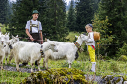 Alpabfahrt, Alpen, Alpfahrt, Appenzell, Appenzell Ausserrohden, Appenzeller Hinterland, Autumn, Brauchtum, Fall, Herbst, Hundwil, Hügel, Kühe, Landwirtschaft, Ostschweiz, Schweiz, Schwägalp, Sennen, Suisse, Switzerland, Tracht, Urnäsch, Wirtschaft, Öberefahre