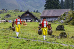 Alpabfahrt, Alpen, Alpfahrt, Appenzell, Appenzell Ausserrohden, Appenzeller Hinterland, Autumn, Brauchtum, Fall, Herbst, Hundwil, Hügel, Kühe, Landwirtschaft, Ostschweiz, Schweiz, Schwägalp, Sennen, Suisse, Switzerland, Tracht, Urnäsch, Wirtschaft, Öberefahre