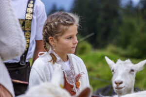 Alpabfahrt, Alpen, Alpfahrt, Appenzell, Appenzell Ausserrohden, Appenzeller Hinterland, Autumn, Brauchtum, Fall, Herbst, Hundwil, Hügel, Kühe, Landwirtschaft, Ostschweiz, Schweiz, Schwägalp, Sennen, Suisse, Switzerland, Tracht, Urnäsch, Wirtschaft, Öberefahre