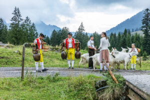 Alpabfahrt, Alpen, Alpfahrt, Appenzell, Appenzell Ausserrohden, Appenzeller Hinterland, Autumn, Brauchtum, Fall, Herbst, Hundwil, Hügel, Kühe, Landwirtschaft, Ostschweiz, Schweiz, Schwägalp, Sennen, Suisse, Switzerland, Tracht, Urnäsch, Wirtschaft, Öberefahre