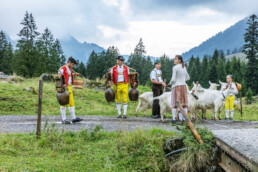 Alpabfahrt, Alpen, Alpfahrt, Appenzell, Appenzell Ausserrohden, Appenzeller Hinterland, Autumn, Brauchtum, Fall, Herbst, Hundwil, Hügel, Kühe, Landwirtschaft, Ostschweiz, Schweiz, Schwägalp, Sennen, Suisse, Switzerland, Tracht, Urnäsch, Wirtschaft, Öberefahre