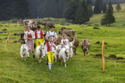 Alpabfahrt, Alpen, Alpfahrt, Appenzell, Appenzell Ausserrohden, Appenzeller Hinterland, Autumn, Brauchtum, Fall, Herbst, Hundwil, Hügel, Kühe, Landwirtschaft, Ostschweiz, Schweiz, Schwägalp, Sennen, Suisse, Switzerland, Tracht, Urnäsch, Wirtschaft, Öberefahre