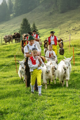 Alpabfahrt, Alpen, Alpfahrt, Appenzell, Appenzell Ausserrohden, Appenzeller Hinterland, Autumn, Brauchtum, Fall, Herbst, Hundwil, Hügel, Kühe, Landwirtschaft, Ostschweiz, Schweiz, Schwägalp, Sennen, Suisse, Switzerland, Tracht, Urnäsch, Wirtschaft, Öberefahre
