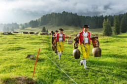 Alpabfahrt, Alpen, Alpfahrt, Appenzell, Appenzell Ausserrohden, Appenzeller Hinterland, Autumn, Brauchtum, Fall, Herbst, Hundwil, Hügel, Kühe, Landwirtschaft, Ostschweiz, Schweiz, Schwägalp, Sennen, Suisse, Switzerland, Tracht, Urnäsch, Wirtschaft, Öberefahre