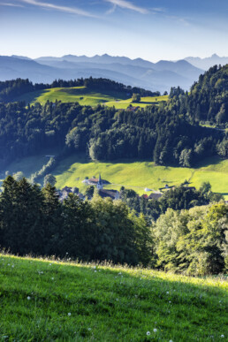 Appenzell, Appenzell Ausserrohden, Appenzeller Vorderland, Ostschweiz, Reute, Schweiz, Suisse, Switzerland