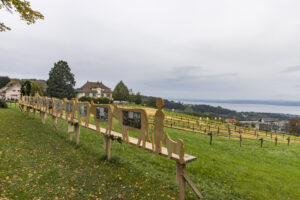 Appenzell, Appenzell Ausserrohden, Appenzeller Vorderland, Autumn, Brauchtum, Fall, Heiden, Herbst, Landwirtschaft, Ostschweiz, Schweiz, Suisse, Switzerland, Tracht, Viehschau, Wirtschaft