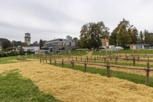 Appenzell, Appenzell Ausserrohden, Appenzeller Vorderland, Autumn, Brauchtum, Fall, Heiden, Herbst, Landwirtschaft, Ostschweiz, Schweiz, Suisse, Switzerland, Tracht, Viehschau, Wirtschaft