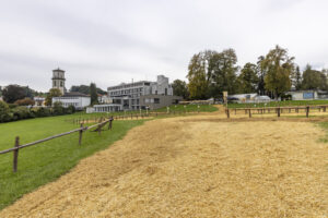 Appenzell, Appenzell Ausserrohden, Appenzeller Vorderland, Autumn, Brauchtum, Fall, Heiden, Herbst, Landwirtschaft, Ostschweiz, Schweiz, Suisse, Switzerland, Tracht, Viehschau, Wirtschaft