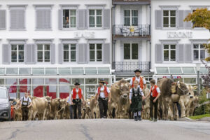 Appenzell, Appenzell Ausserrohden, Appenzeller Vorderland, Autumn, Brauchtum, Fall, Heiden, Herbst, Landwirtschaft, Ostschweiz, Schweiz, Suisse, Switzerland, Tracht, Viehschau, Wirtschaft