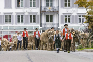 Appenzell, Appenzell Ausserrohden, Appenzeller Vorderland, Autumn, Brauchtum, Fall, Heiden, Herbst, Landwirtschaft, Ostschweiz, Schweiz, Suisse, Switzerland, Tracht, Viehschau, Wirtschaft
