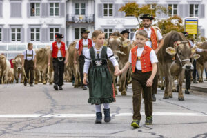 Appenzell, Appenzell Ausserrohden, Appenzeller Vorderland, Autumn, Brauchtum, Fall, Heiden, Herbst, Landwirtschaft, Ostschweiz, Schweiz, Suisse, Switzerland, Tracht, Viehschau, Wirtschaft