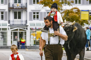 Appenzell, Appenzell Ausserrohden, Appenzeller Vorderland, Autumn, Brauchtum, Fall, Heiden, Herbst, Landwirtschaft, Ostschweiz, Schweiz, Suisse, Switzerland, Tracht, Viehschau, Wirtschaft