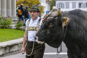 Appenzell, Appenzell Ausserrohden, Appenzeller Vorderland, Autumn, Brauchtum, Fall, Heiden, Herbst, Landwirtschaft, Ostschweiz, Schweiz, Suisse, Switzerland, Tracht, Viehschau, Wirtschaft