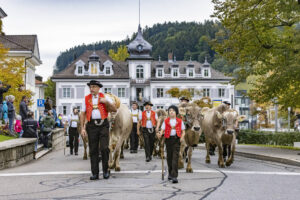 Appenzell, Appenzell Ausserrohden, Appenzeller Vorderland, Autumn, Brauchtum, Fall, Heiden, Herbst, Landwirtschaft, Ostschweiz, Schweiz, Suisse, Switzerland, Tracht, Viehschau, Wirtschaft