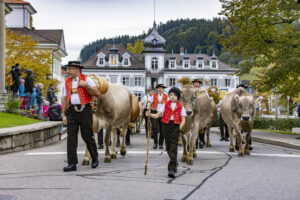 Appenzell, Appenzell Ausserrohden, Appenzeller Vorderland, Autumn, Brauchtum, Fall, Heiden, Herbst, Landwirtschaft, Ostschweiz, Schweiz, Suisse, Switzerland, Tracht, Viehschau, Wirtschaft