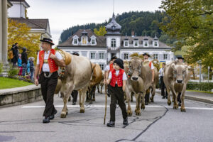 Appenzell, Appenzell Ausserrohden, Appenzeller Vorderland, Autumn, Brauchtum, Fall, Heiden, Herbst, Landwirtschaft, Ostschweiz, Schweiz, Suisse, Switzerland, Tracht, Viehschau, Wirtschaft