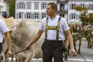 Appenzell, Appenzell Ausserrohden, Appenzeller Vorderland, Autumn, Brauchtum, Fall, Heiden, Herbst, Landwirtschaft, Ostschweiz, Schweiz, Suisse, Switzerland, Tracht, Viehschau, Wirtschaft