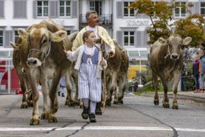Appenzell, Appenzell Ausserrohden, Appenzeller Vorderland, Autumn, Brauchtum, Fall, Heiden, Herbst, Landwirtschaft, Ostschweiz, Schweiz, Suisse, Switzerland, Tracht, Viehschau, Wirtschaft