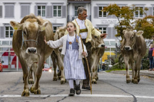Appenzell, Appenzell Ausserrohden, Appenzeller Vorderland, Autumn, Brauchtum, Fall, Heiden, Herbst, Landwirtschaft, Ostschweiz, Schweiz, Suisse, Switzerland, Tracht, Viehschau, Wirtschaft