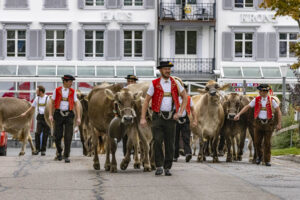 Appenzell, Appenzell Ausserrohden, Appenzeller Vorderland, Autumn, Brauchtum, Fall, Heiden, Herbst, Landwirtschaft, Ostschweiz, Schweiz, Suisse, Switzerland, Tracht, Viehschau, Wirtschaft