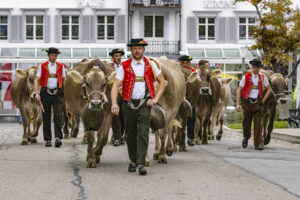 Appenzell, Appenzell Ausserrohden, Appenzeller Vorderland, Autumn, Brauchtum, Fall, Heiden, Herbst, Landwirtschaft, Ostschweiz, Schweiz, Suisse, Switzerland, Tracht, Viehschau, Wirtschaft