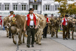 Appenzell, Appenzell Ausserrohden, Appenzeller Vorderland, Autumn, Brauchtum, Fall, Heiden, Herbst, Landwirtschaft, Ostschweiz, Schweiz, Suisse, Switzerland, Tracht, Viehschau, Wirtschaft