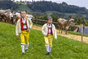 Appenzell, Appenzell Ausserrohden, Appenzeller Vorderland, Autumn, Brauchtum, Fall, Heiden, Herbst, Landwirtschaft, Ostschweiz, Schweiz, Suisse, Switzerland, Tracht, Viehschau, Wirtschaft
