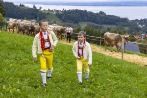 Appenzell, Appenzell Ausserrohden, Appenzeller Vorderland, Autumn, Brauchtum, Fall, Heiden, Herbst, Landwirtschaft, Ostschweiz, Schweiz, Suisse, Switzerland, Tracht, Viehschau, Wirtschaft