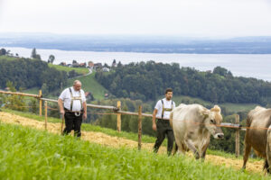 Appenzell, Appenzell Ausserrohden, Appenzeller Vorderland, Autumn, Bodensee, Brauchtum, Fall, Heiden, Herbst, Landwirtschaft, Ostschweiz, Schweiz, Suisse, Switzerland, Tracht, Viehschau, Wirtschaft