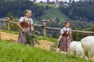 Appenzell, Appenzell Ausserrohden, Appenzeller Vorderland, Autumn, Brauchtum, Fall, Heiden, Herbst, Landwirtschaft, Ostschweiz, Schweiz, Suisse, Switzerland, Tracht, Viehschau, Wirtschaft