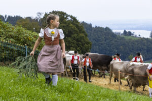 Appenzell, Appenzell Ausserrohden, Appenzeller Vorderland, Autumn, Brauchtum, Fall, Heiden, Herbst, Landwirtschaft, Ostschweiz, Schweiz, Suisse, Switzerland, Tracht, Viehschau, Wirtschaft
