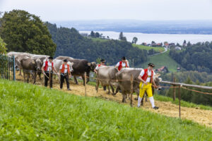 Appenzell, Appenzell Ausserrohden, Appenzeller Vorderland, Autumn, Brauchtum, Fall, Heiden, Herbst, Landwirtschaft, Ostschweiz, Schweiz, Suisse, Switzerland, Tracht, Viehschau, Wirtschaft