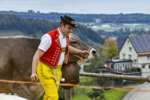 Appenzell, Appenzell Ausserrohden, Appenzeller Vorderland, Autumn, Brauchtum, Fall, Heiden, Herbst, Landwirtschaft, Ostschweiz, Schweiz, Suisse, Switzerland, Tracht, Viehschau, Wirtschaft