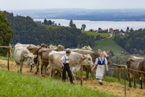 Appenzell, Appenzell Ausserrohden, Appenzeller Vorderland, Autumn, Brauchtum, Fall, Heiden, Herbst, Landwirtschaft, Ostschweiz, Schweiz, Suisse, Switzerland, Tracht, Viehschau, Wirtschaft