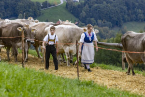 Appenzell, Appenzell Ausserrohden, Appenzeller Vorderland, Autumn, Brauchtum, Fall, Heiden, Herbst, Landwirtschaft, Ostschweiz, Schweiz, Suisse, Switzerland, Tracht, Viehschau, Wirtschaft