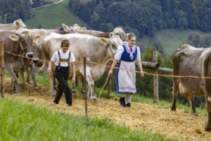 Appenzell, Appenzell Ausserrohden, Appenzeller Vorderland, Autumn, Brauchtum, Fall, Heiden, Herbst, Landwirtschaft, Ostschweiz, Schweiz, Suisse, Switzerland, Tracht, Viehschau, Wirtschaft