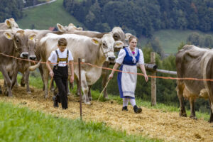 Appenzell, Appenzell Ausserrohden, Appenzeller Vorderland, Autumn, Brauchtum, Fall, Heiden, Herbst, Landwirtschaft, Ostschweiz, Schweiz, Suisse, Switzerland, Tracht, Viehschau, Wirtschaft