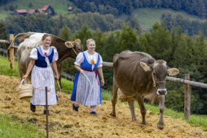 Appenzell, Appenzell Ausserrohden, Appenzeller Vorderland, Autumn, Brauchtum, Fall, Heiden, Herbst, Landwirtschaft, Ostschweiz, Schweiz, Suisse, Switzerland, Tracht, Viehschau, Wirtschaft